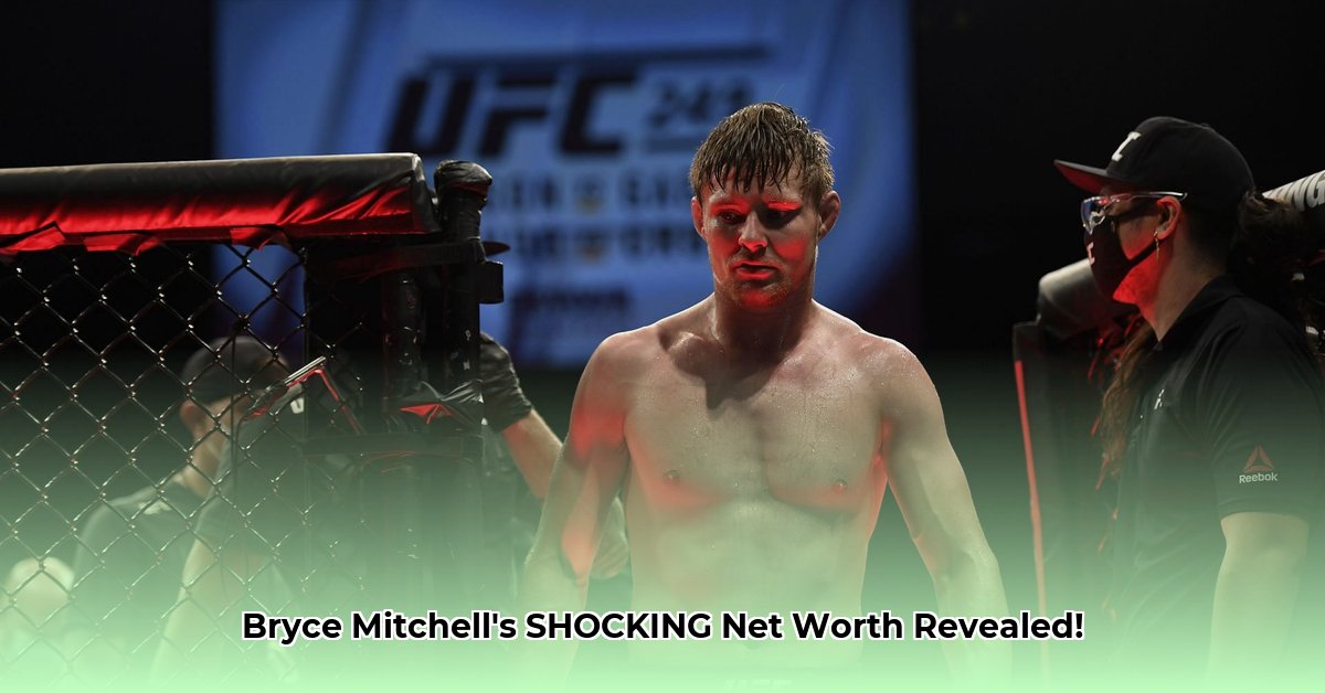 bryce-mitchell-net-worth